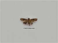 藏品(夜蛾709)的圖片